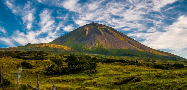 Pico